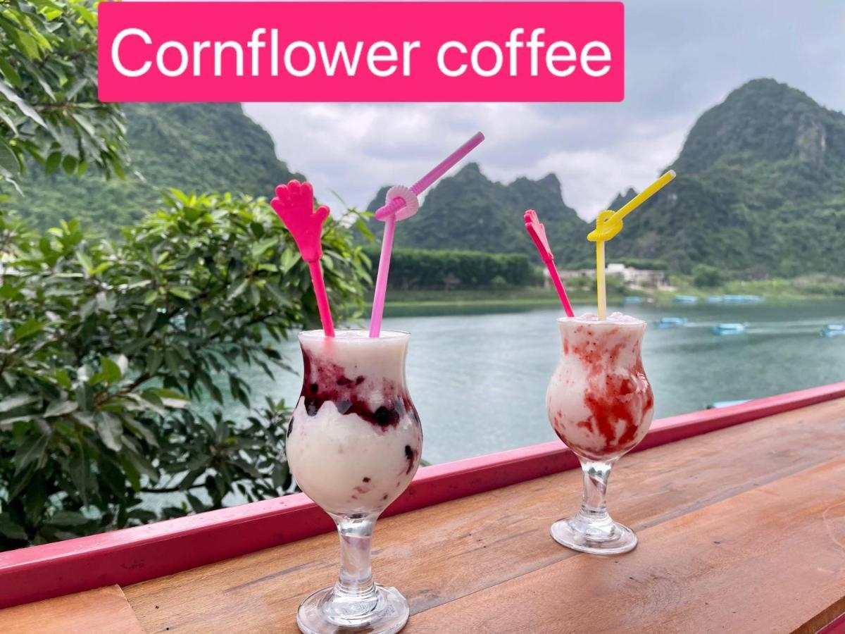 Cornflower Homestay Phong Nha Exteriör bild