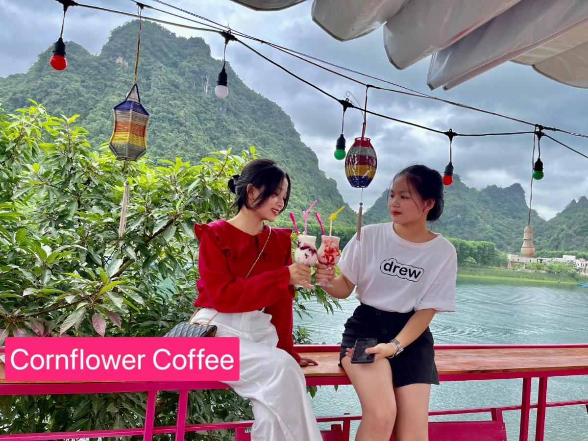 Cornflower Homestay Phong Nha Exteriör bild